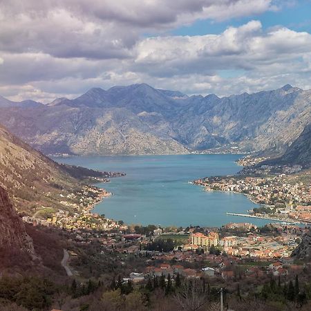 The Nest - Urban Family Place Kotor Exteriör bild
