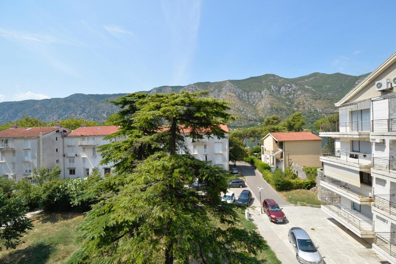 The Nest - Urban Family Place Kotor Exteriör bild