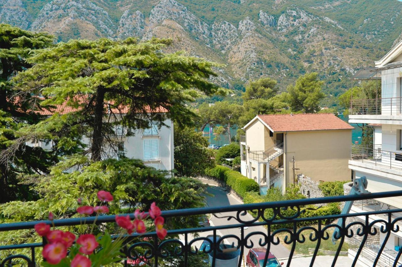 The Nest - Urban Family Place Kotor Exteriör bild