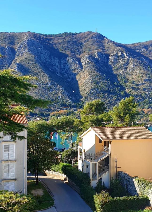 The Nest - Urban Family Place Kotor Exteriör bild